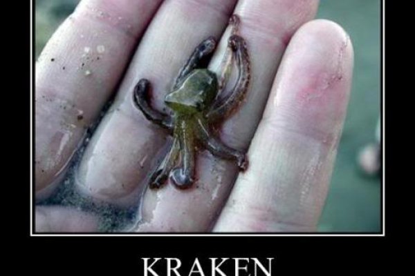 Kraken ссылка на сайт актуальная