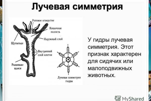 Что такое кракен плейс