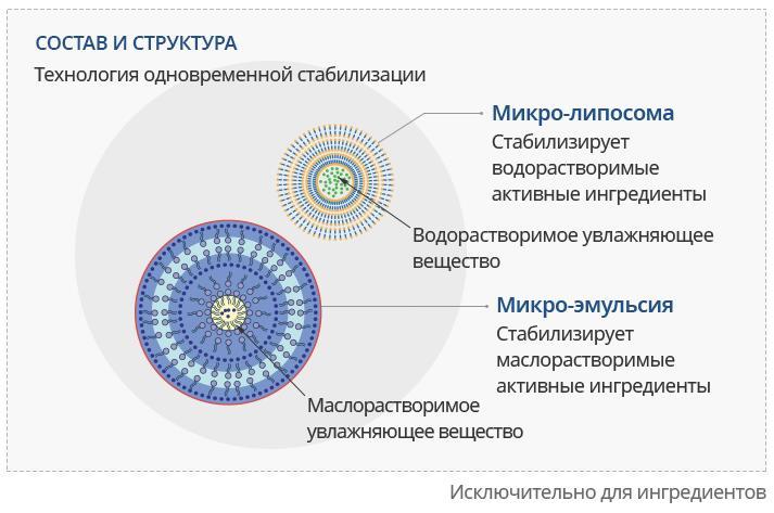 Kraken настоящая ссылка